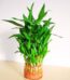 Three Layer Bamboo HDPE pot 1