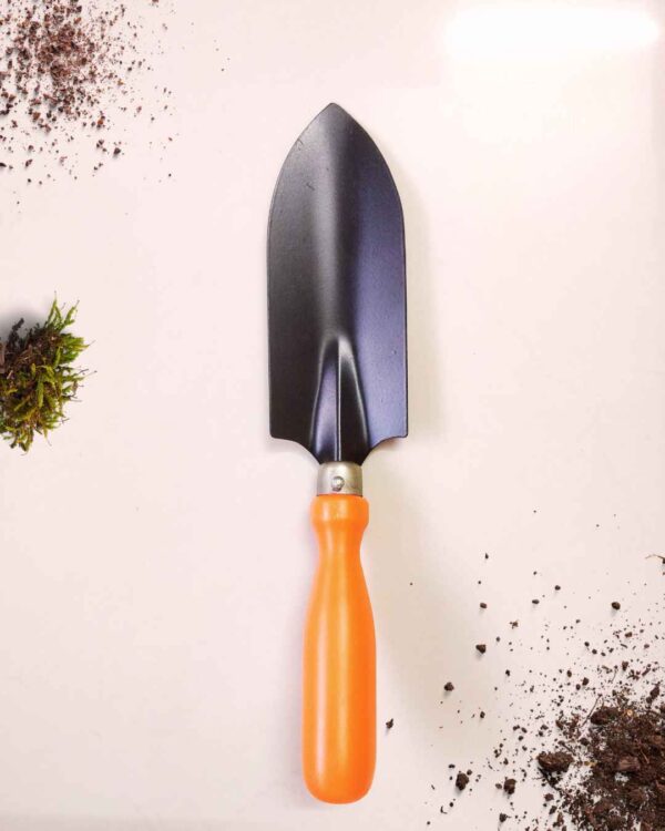 Transplanting Trowel 1