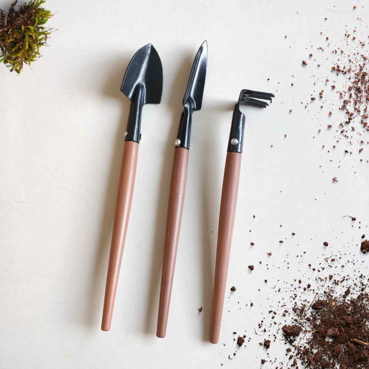 Bonsai Set 2 Bonsai Set 2