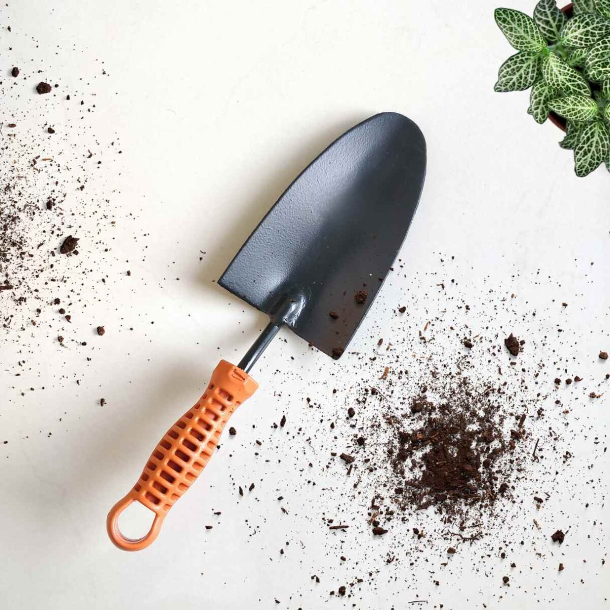 Digging Trowel 1 Digging Trowel 1