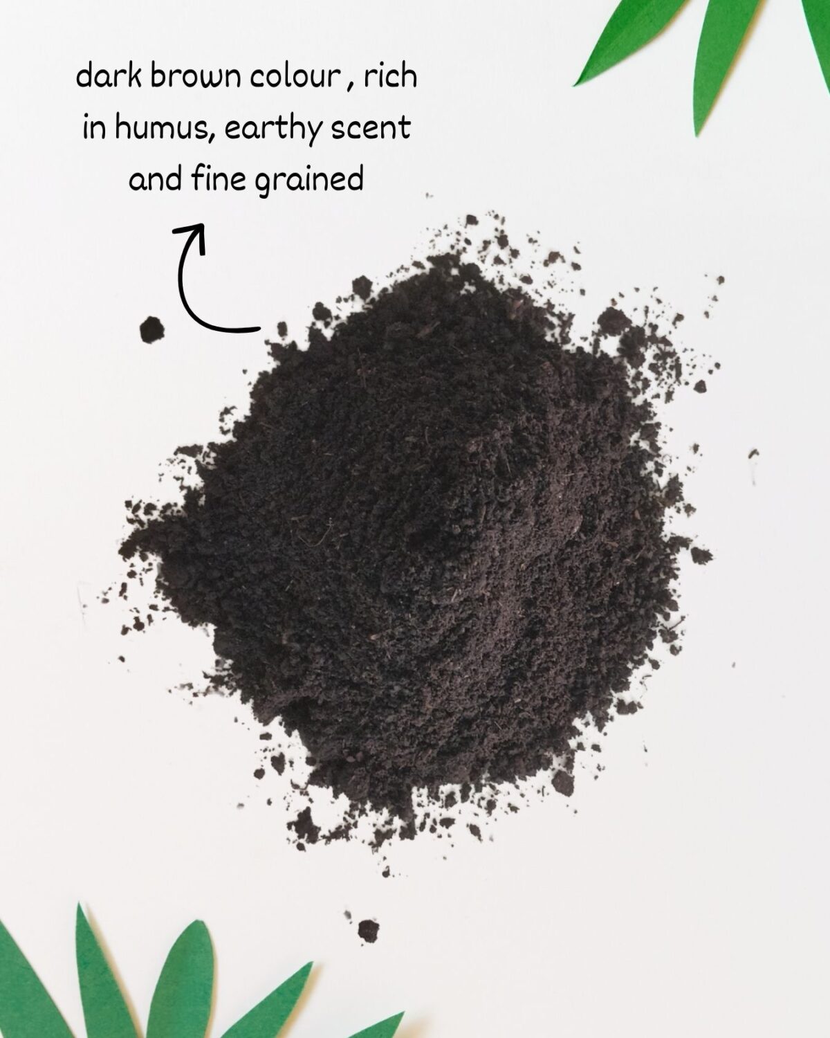 Arisa Vermipro Compost for plants 4